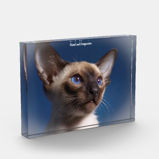 Siamese Kat Fotoblokken (Links)
