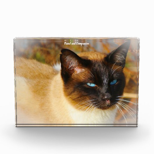 Siamese Kat Fotoblokken (Voorkant)