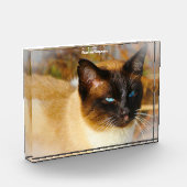 Siamese Kat Fotoblokken (Links)