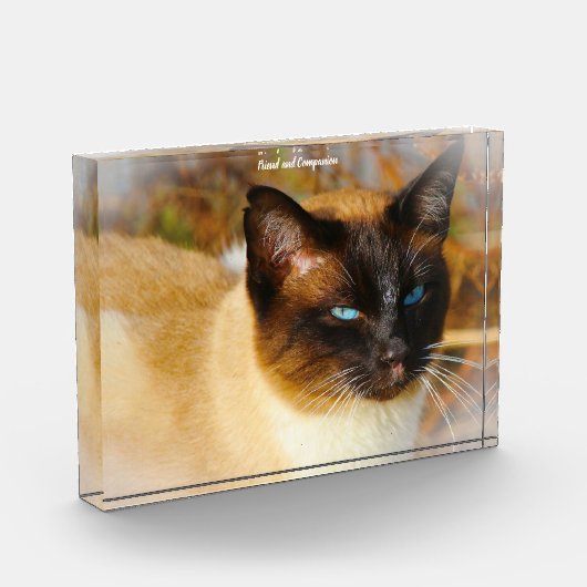Siamese Kat Fotoblokken (Links)