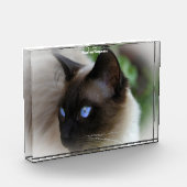 Siamese Kat Fotoblokken (Links)