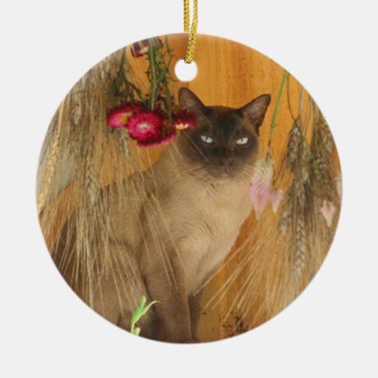 Siamese kat gedroogd bloemen dierlijk siermiddel keramisch ornament (Voorkant)