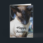 Siamese kat Happy Birthday Kaart<br><div class="desc">Mooie timide Siamese kat</div>
