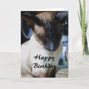 Siamese kat Happy Birthday-kaart Kaart