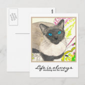 Siamese kat - "Het leven werkt altijd voor mij!" Briefkaart (Voorkant / Achterkant)