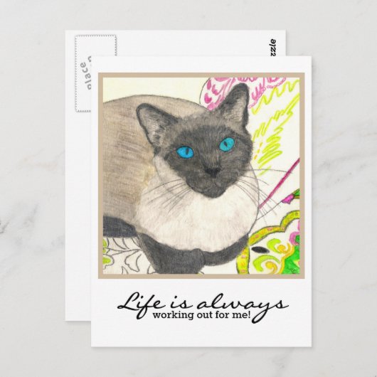 Siamese kat - "Het leven werkt altijd voor mij!" Briefkaart (Voorkant / Achterkant)