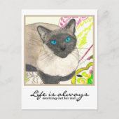 Siamese kat - "Het leven werkt altijd voor mij!" Briefkaart (Voorkant)