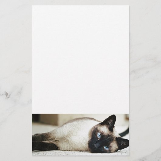 Siamese kat huisdier briefpapier (Voorkant)