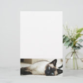 Siamese kat huisdier briefpapier (Staand voorkant)