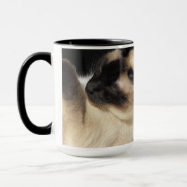 Siamese Kat Huisdier Spin Meow Kitten Bestemming K Mok