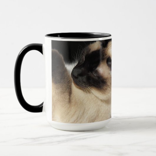 Siamese Kat Huisdier Spin Meow Kitten Bestemming K Mok (Links)
