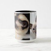 Siamese Kat Huisdier Spin Meow Kitten Bestemming K Mok (Midden)