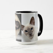 Siamese Kat Huisdier Spin Meow Kitten Bestemming K Mok (Voorkant rechts)