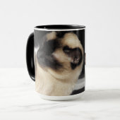 Siamese Kat Huisdier Spin Meow Kitten Bestemming K Mok (Voorkant links)