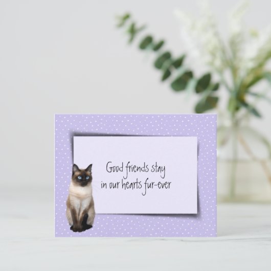 Siamese Kat Huisdier Verlies Van De Dierenarts Briefkaart (Staand voorkant)