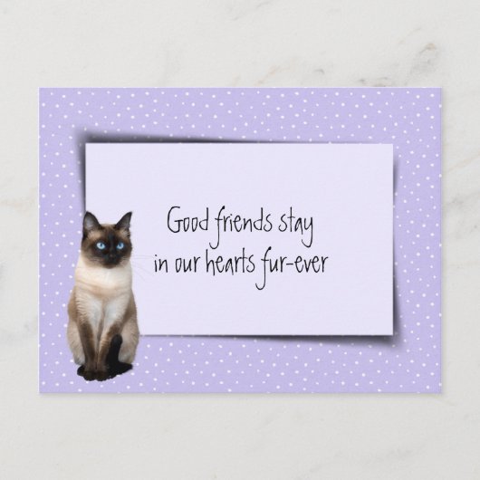 Siamese Kat Huisdier Verlies Van De Dierenarts Briefkaart (Voorkant)