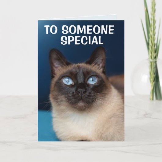 SIAMESE KAT IEMAND SPECIALE VERJAARDAG KAART (Voorkant)