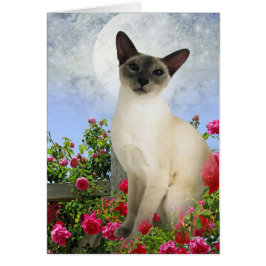 Siamese kat in rozen klapkaarten