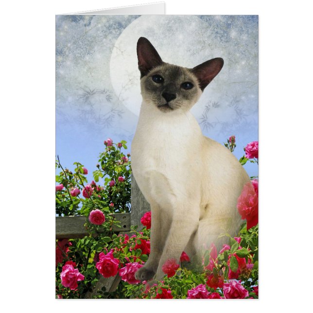 Siamese kat in rozen klapkaarten (Voorkant)