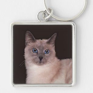 Siamese Kat in Rust Sleutelhanger