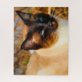 Siamese kat . Jigzaag Puzzle Legpuzzel (Verticaal)