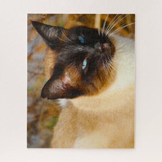 Siamese kat . Jigzaag Puzzle Legpuzzel (Verticaal)