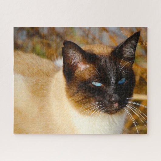 Siamese kat . Jigzaag Puzzle Legpuzzel (Horizontaal)