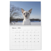 Siamese kat kalender 2024 (Feb 2026)