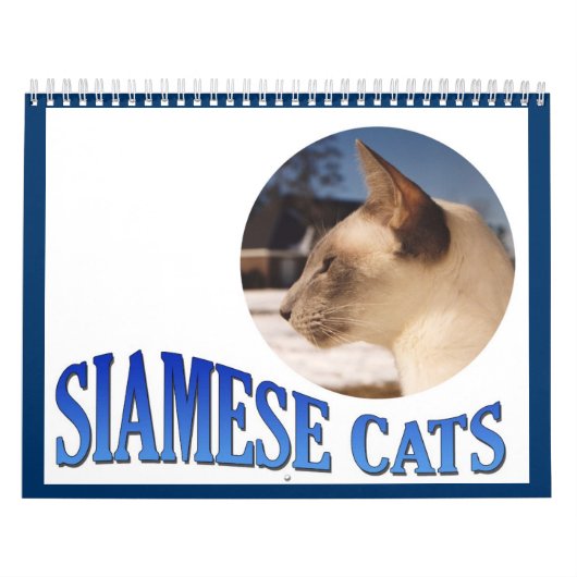 Siamese kat kalender 2024 (Hoes)