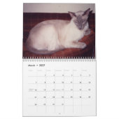 Siamese kat kalender 2024 (Mar 2027)