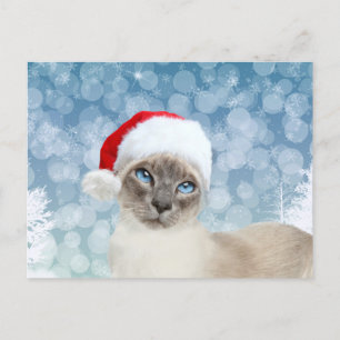 Siamese kat Kerstmis Feestdagenkaart