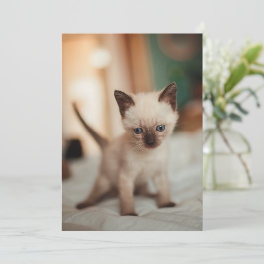 Siamese kat Kerstmis Feestdagenkaart (Staand voorkant)