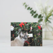 Siamese kat Kerstmis Feestdagenkaart (Staand voorkant)