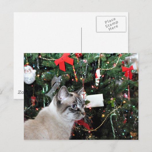Siamese kat Kerstmis Feestdagenkaart (Voorkant / Achterkant)