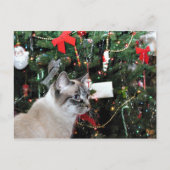 Siamese kat Kerstmis Feestdagenkaart (Voorkant)