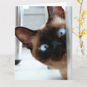 SIAMESE KAT KIJKT GELUKKIGE VERJAARDAG GROET  KAART