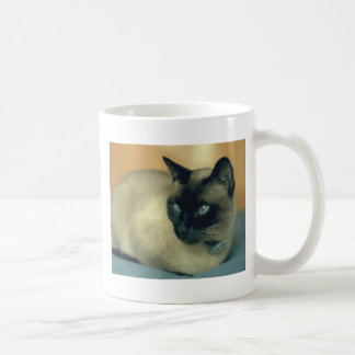 Siamese kat koffiemok