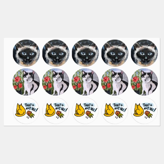 Siamese kat labels (Vel)