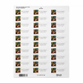 Siamese Kat Lentetuin Retouradreslabel Etiket (Full Sheet)