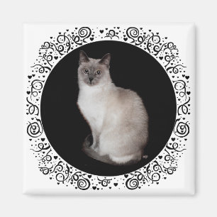 Siamese Kat Magneet