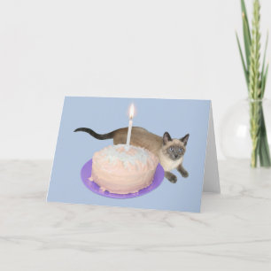 Siamese kat met Birthday Cake Kaart