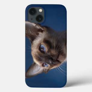 Siamese kat met blauwe ogen Case-Mate iPhone case
