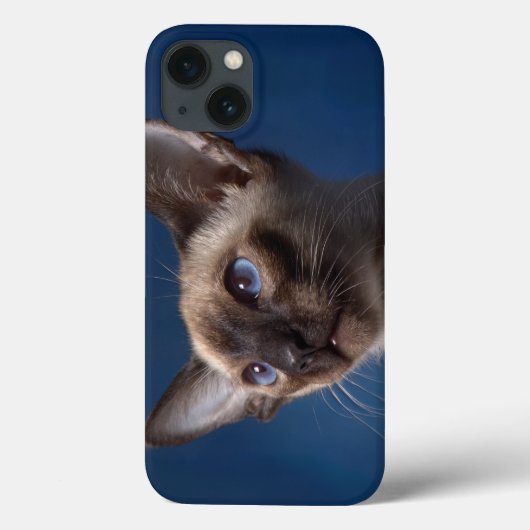 Siamese kat met blauwe ogen Case-Mate iPhone case (Achterkant)