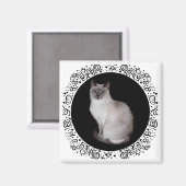 Siamese kat met blauwe ogen magneet (Voorkant / Achterkant)