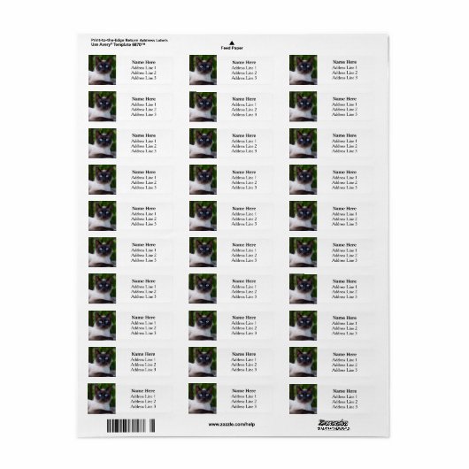 Siamese kat met blauwe ogen retouradres etiket (Full Sheet)