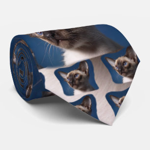 Siamese kat met blauwe ogen stropdas