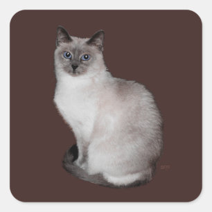 Siamese kat met blauwe ogen vierkante sticker