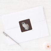 Siamese kat met blauwe ogen vierkante sticker (Envelop)