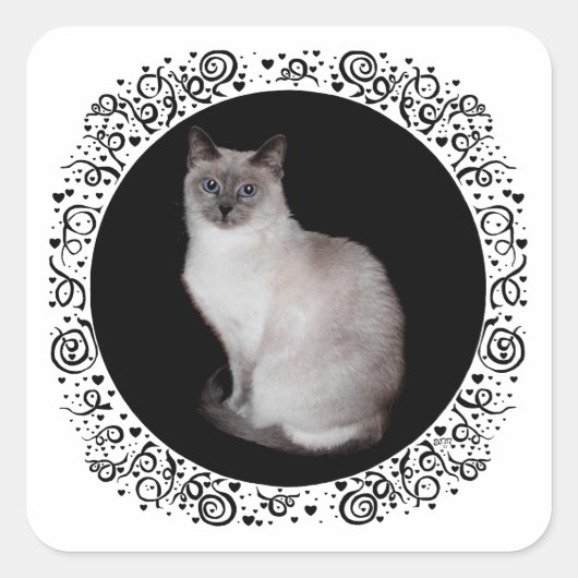 Siamese kat met blauwe ogen vierkante sticker (Voorkant)