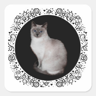 Siamese kat met blauwe ogen vierkante sticker